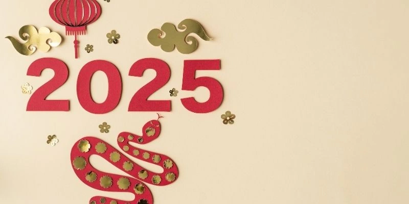 Tử Vi Công Việc Tuổi Tỵ 2025: Phân Tích Sâu, Dự Báo Và Chiến Lược Thành Công 3 Tử Vi Công Việc Tuổi Tỵ