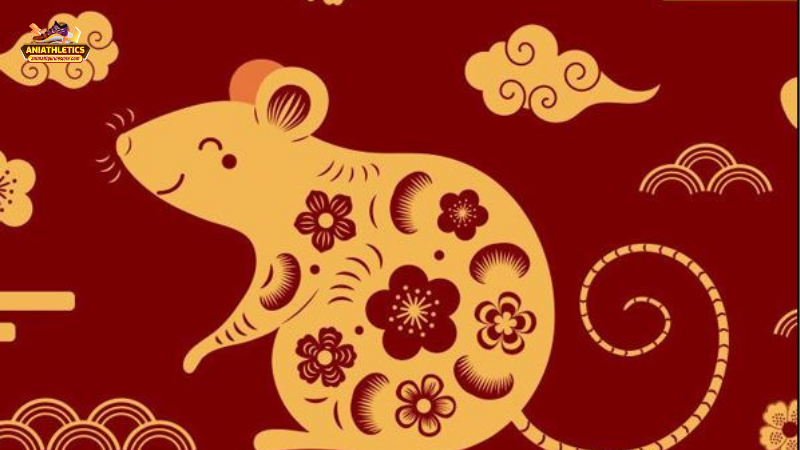 Liệt kê các năm hạn lớn và cách phòng tránh cho tuổi Tý