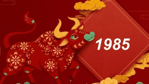 Tuổi Ất Sửu Là Gì? 