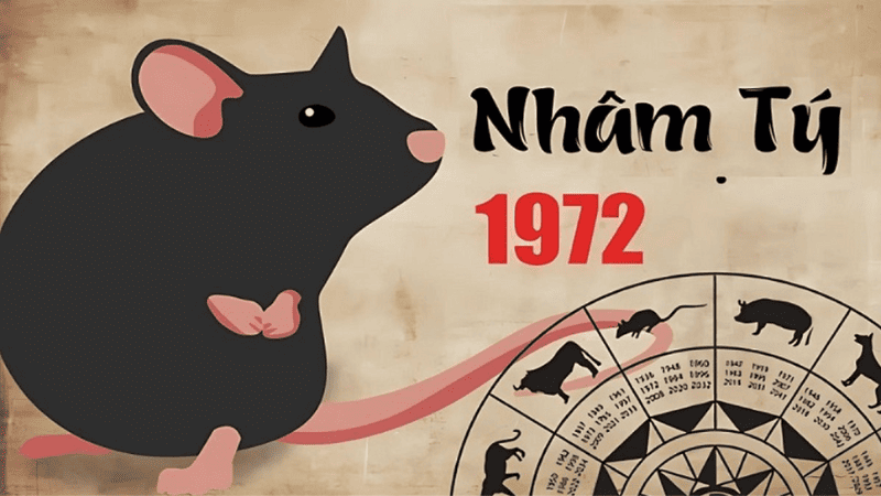Tuổi Nhâm Tý: Tổng Quan Tử Vi, Đặc Điểm Và Ý Nghĩa Trong Đời Sống
