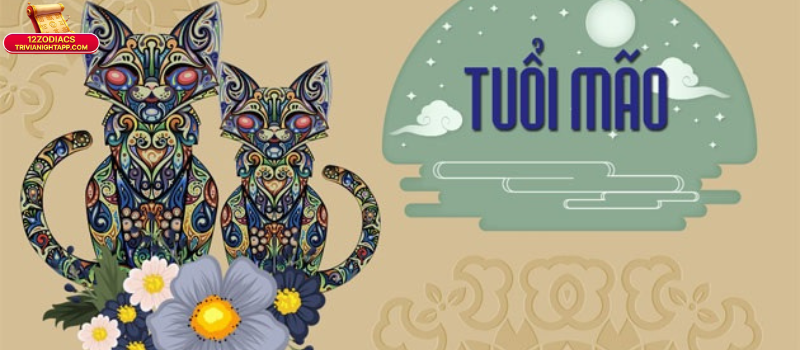 Tuổi Mão Hợp Với Tuổi Nào Kết Hôn? Bật Mí Bí Quyết Chọn Bạn Đời 29 Tổng quan về tuổi Mão trong tử vi