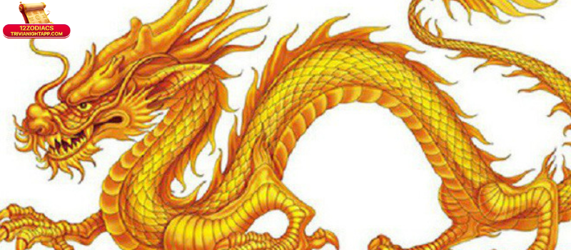 Tuổi Thìn Hợp Với Tuổi Nào Làm Ăn: Bí Quyết Chọn Đối Tác Phát Tài 4 Lời khuyên thực tế khi xác định tuổi Thìn hợp với tuổi nào làm ăn