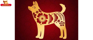 Tuổi Tuất hợp với tuổi nào kết hôn — tóm tắt nhanh