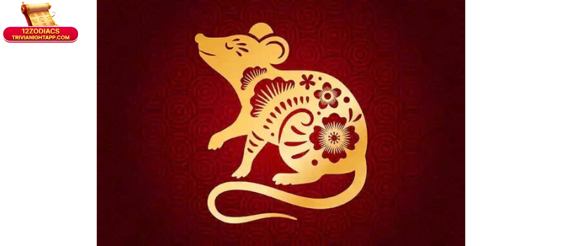 Tuổi Tý Hợp Với Tuổi Nào Kết Hôn? Giải Đáp Đầy Đủ 8 Tuổi Tý hợp với tuổi nào kết hôn?