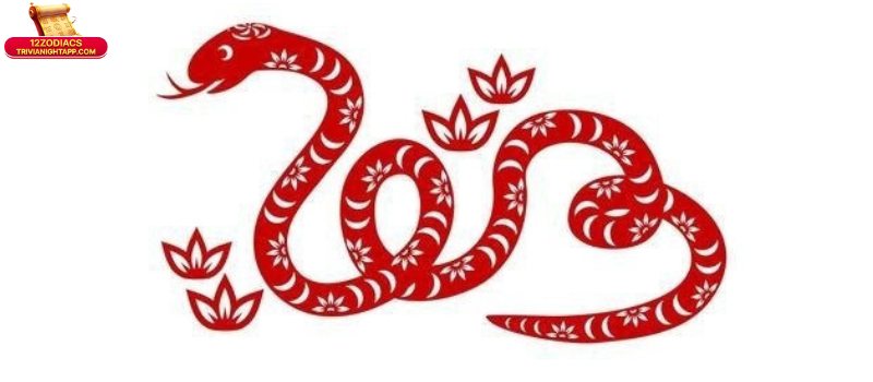 Tuổi Tỵ Hợp Với Tuổi Nào Làm Ăn: Chọn Đối Tác Theo Ngũ Hành 3 Phân tích chi tiết tuổi Tỵ hợp với tuổi nào làm ăn