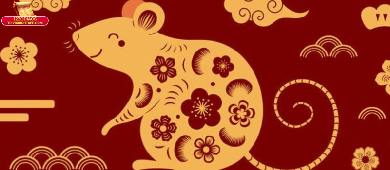 Tuổi Tý Hợp Với Tuổi Nào Làm Ăn: Hướng Dẫn Chi Tiết Từ 12Zodiacs 4 Ứng dụng thực tiễn: Xác định tuổi Tý hợp với tuổi nào làm ăn